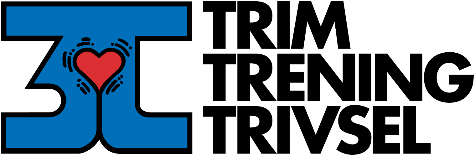 3T