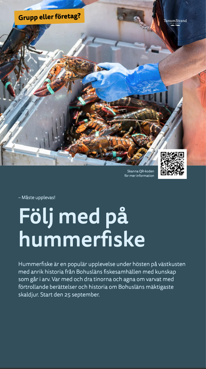 Eksempel på aktivitetsinformasjon som hetes fra nettsiden eller lages i publiseringsverktøyet.